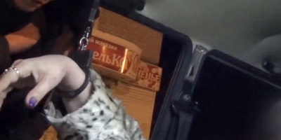 В Белгороде таксист помог поймать пьяную автоледи