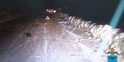Под Белгородом поймали виновника наезда на пешехода