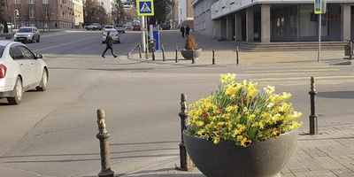 Новые цветники украсят Белгород
