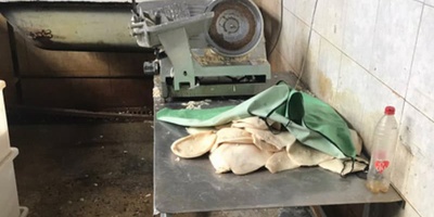 Подпольный цех по переработке морепродуктов ликвидировали в Белгороде