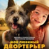 Мой любимый двортерьер - Афиша в Орле