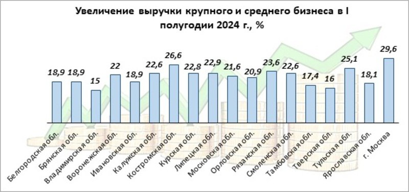 Увеличение выручки крупного и среднего бизнеса в I полугодии 2024 г., %