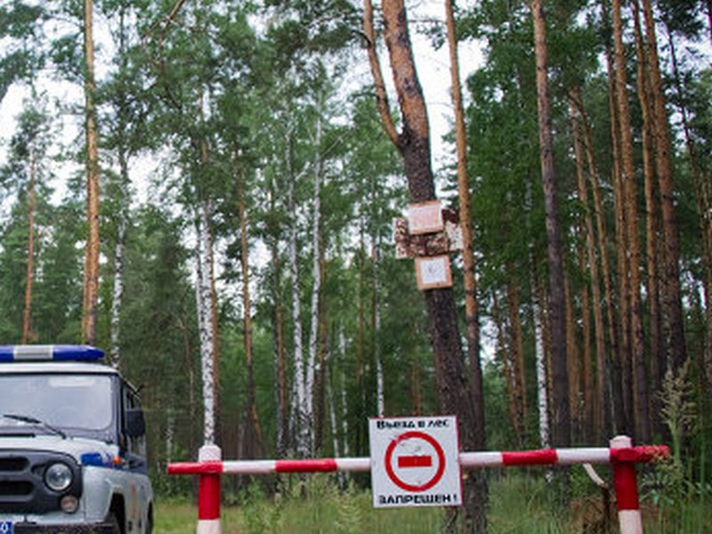 До 25 сентября белгородцам запрещено посещать леса