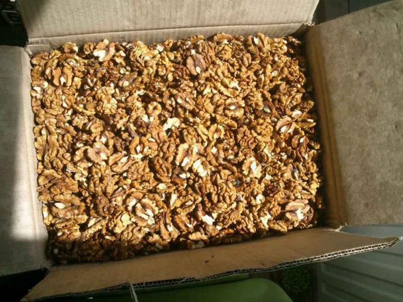 Четыре тонны грецких орехов уничтожено на Белгородчине