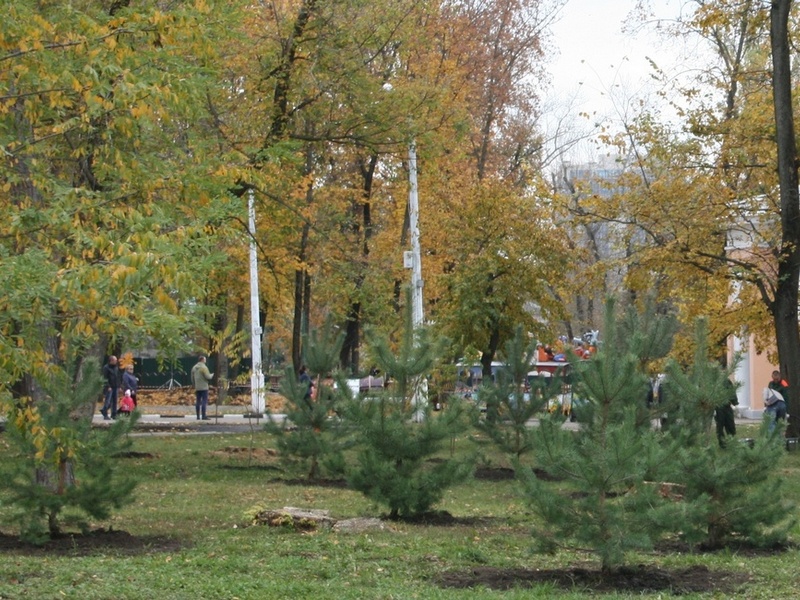 В Белгороде началось благоустройство центрального парка