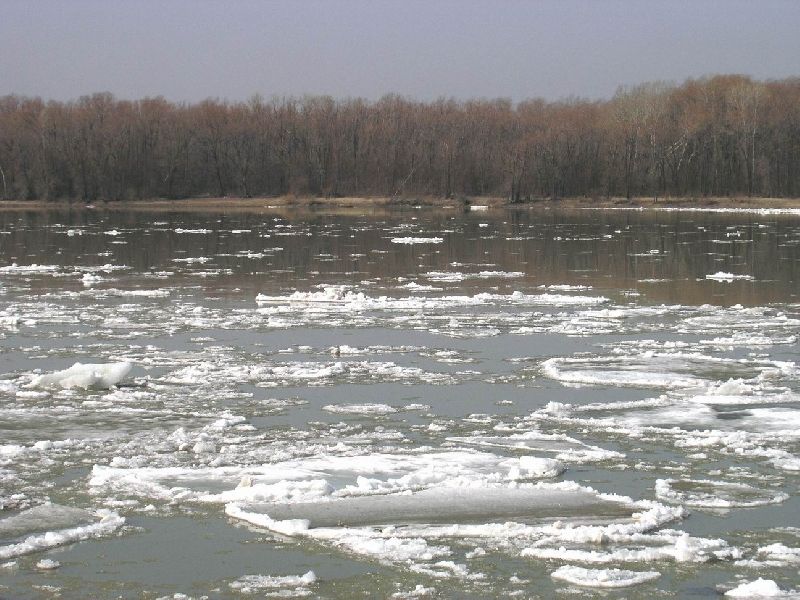 В Алексеевке на реке погибла пенсионерка