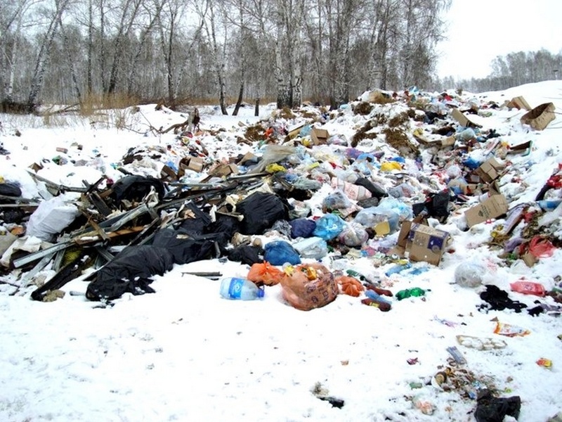 Белгородская фирма незаконно зарабатывала на вывозе мусора