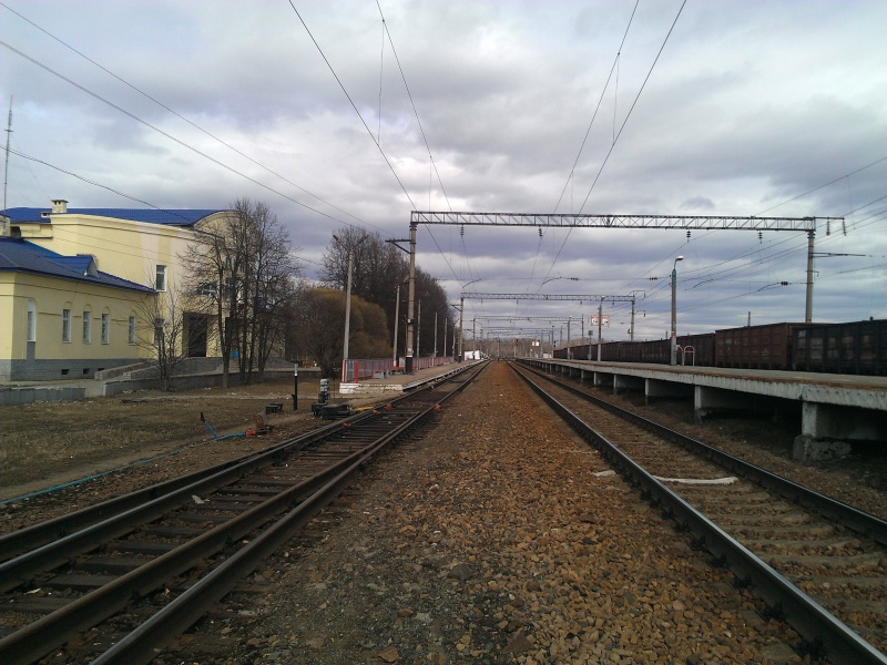 В Белгородской области мать бросилась под поезд, спасая сына