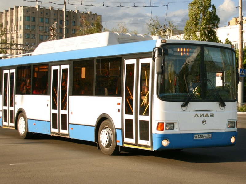 В Белгороде создадут единую транспортную компанию