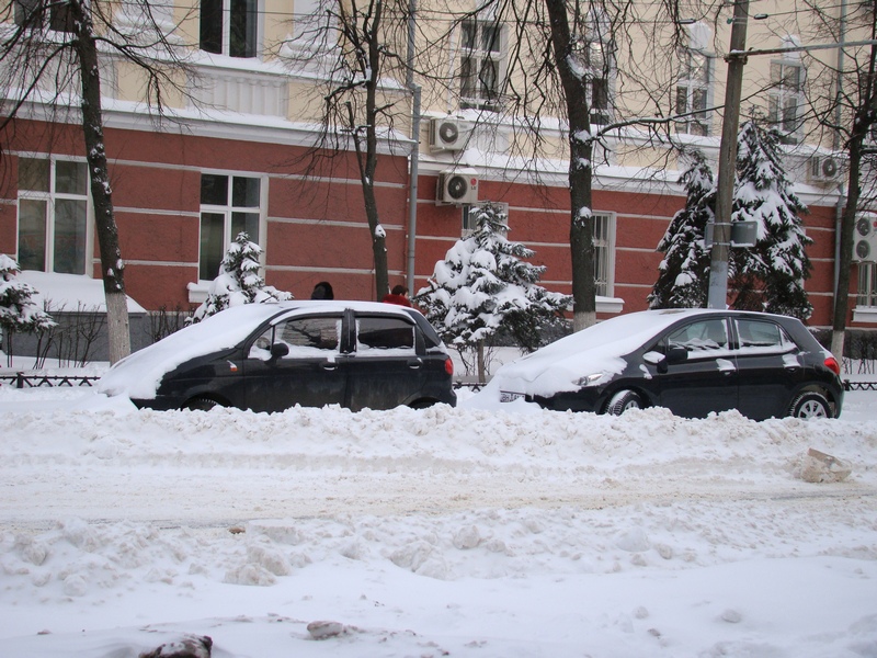 В Белгородской области пьяными за рулем попались 40 водителей