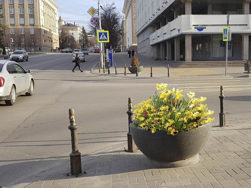 Новые цветники украсят Белгород