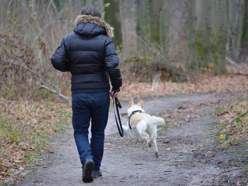 В Белгороде установят дог-боксы для уборки за собаками