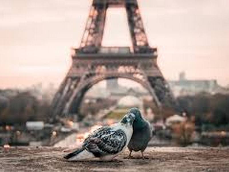 Где стоит побывать в Париже