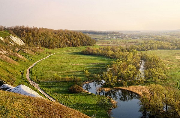 В Белгородской области проведут международный экологический форум