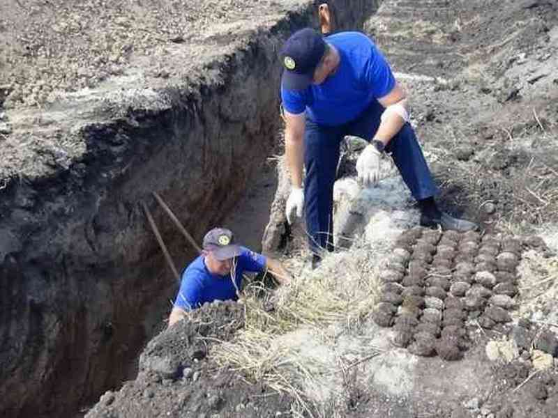 Под Белгородом нашли более 400 гранат