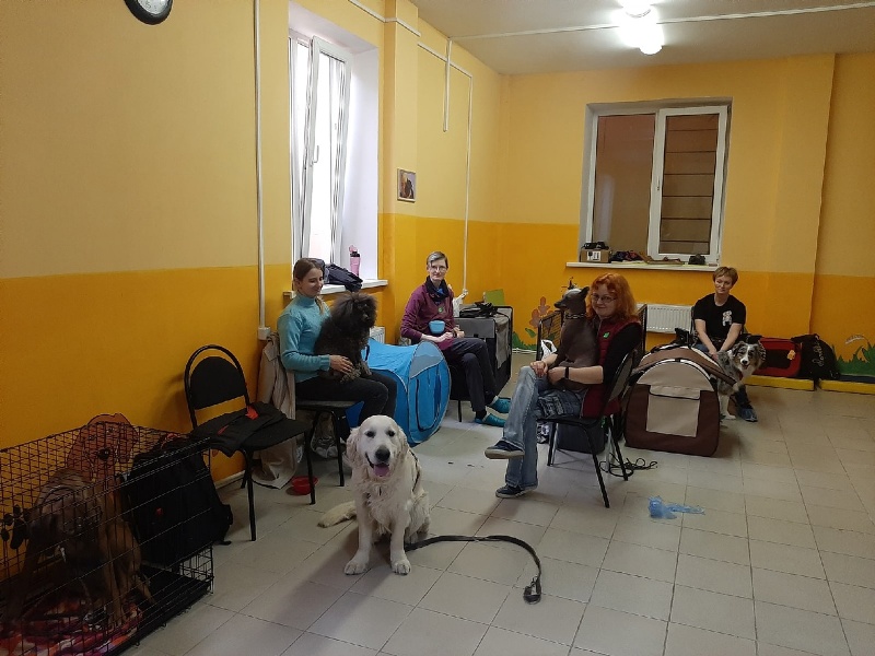 Школьница из Белгородской области стала лучшим волонтером страны