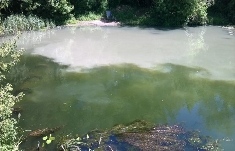 Старооскольский водоканал загрязнил реку Оскол
