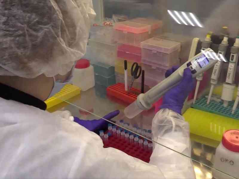 За сутки подтверждено 77 новых случаев коронавируса
