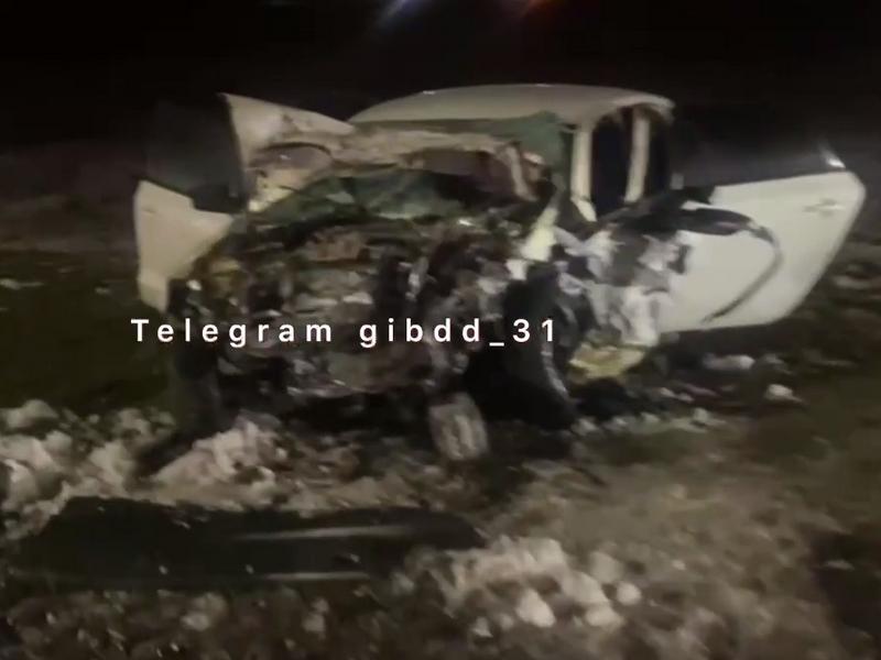 Трагедия на трассе: в Белгородской области столкнулись три автомобиля