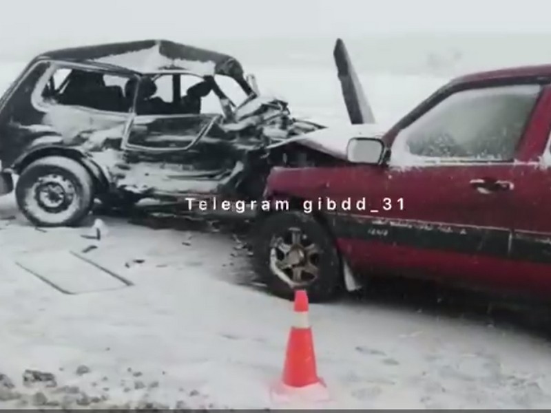 ДТП в Белгородской области: погиб один человек, пострадали — четверо