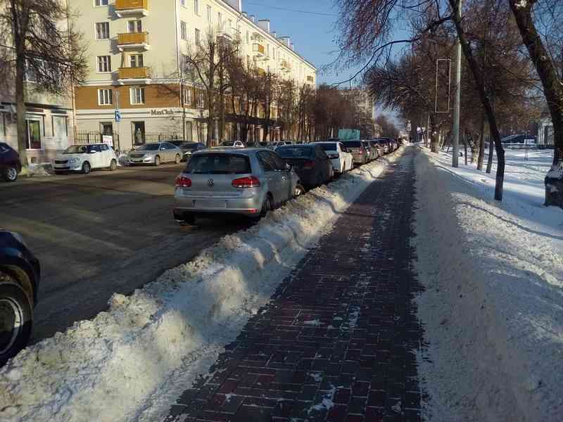 Парковки Белгорода временно станут бесплатными
