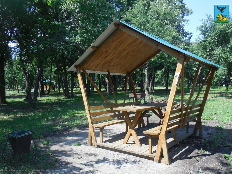 В белгородских лесах создадут больше зон отдыха