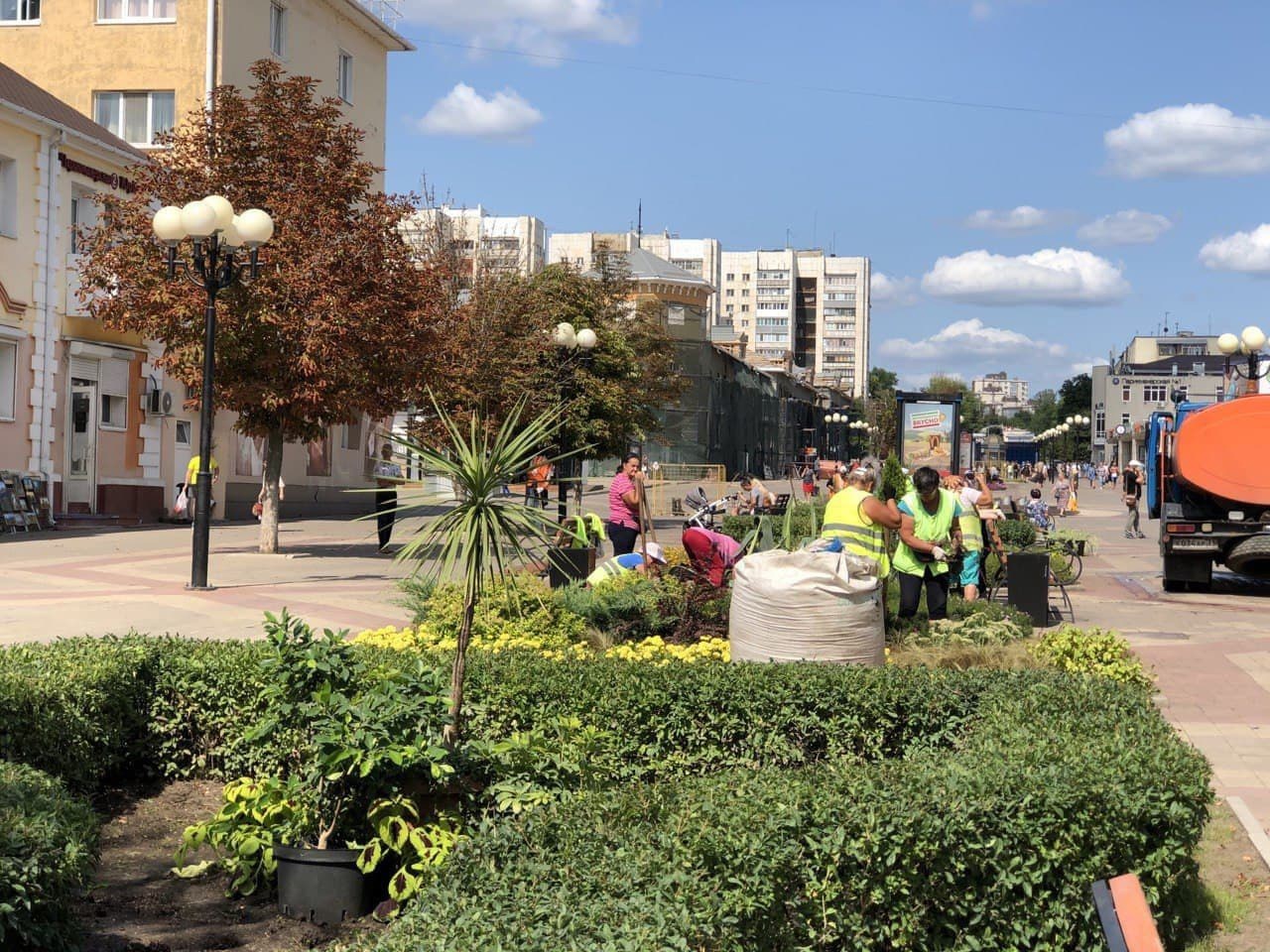 Горожане продолжают готовиться к фестивалю «Белгород в цвету»