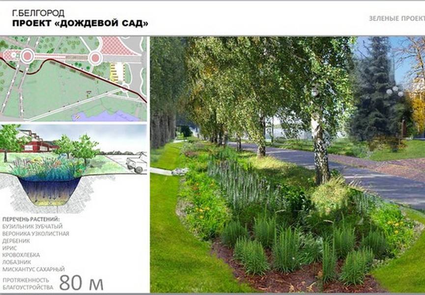 В Белгороде появится дождевой сад