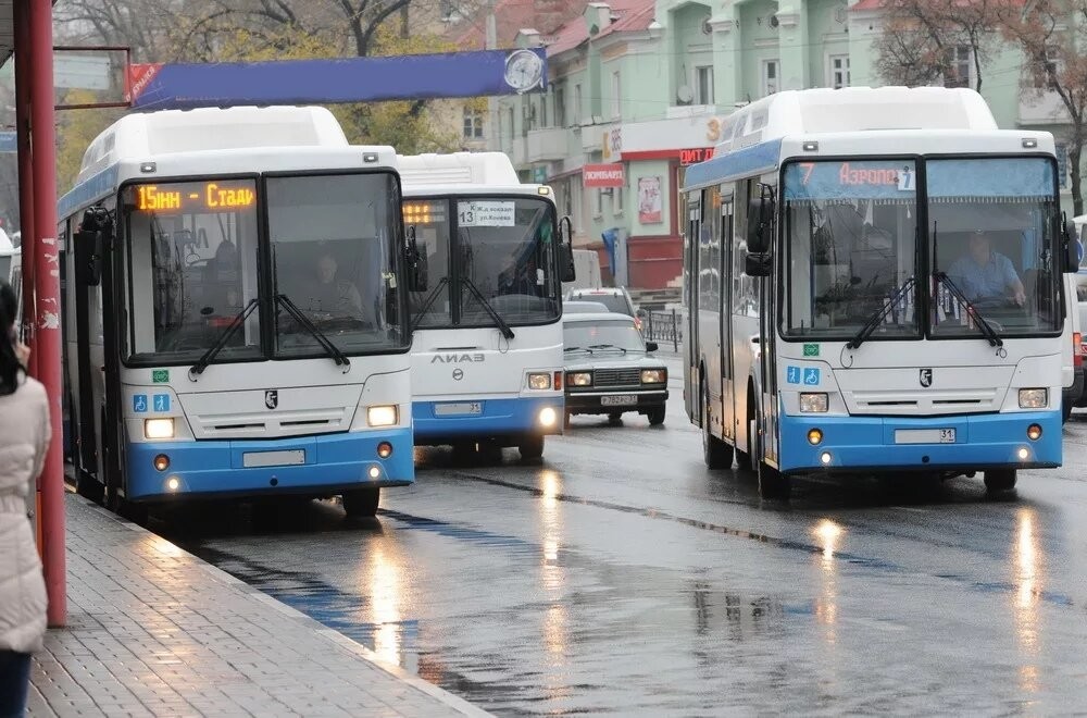В Белгороде запустят систему бесплатных пересадок на общественном транспорте