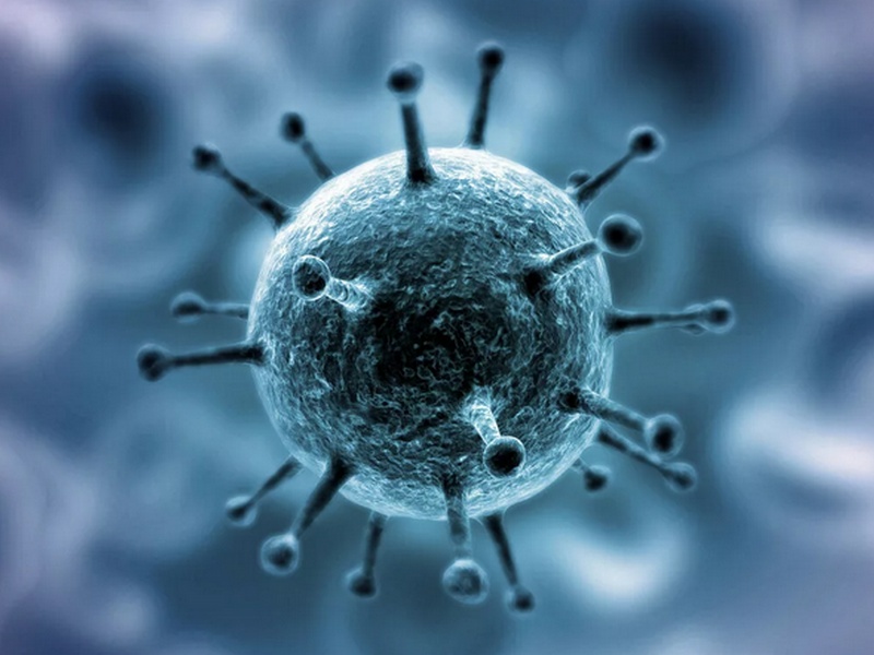 За сутки подтверждено 527 новых случаев коронавируса