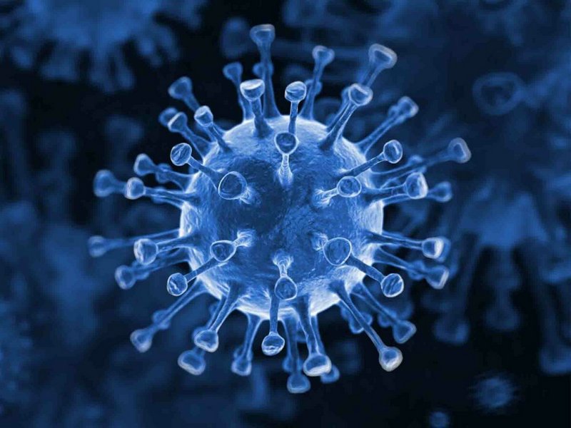 За сутки подтверждено 174 случая коронавируса