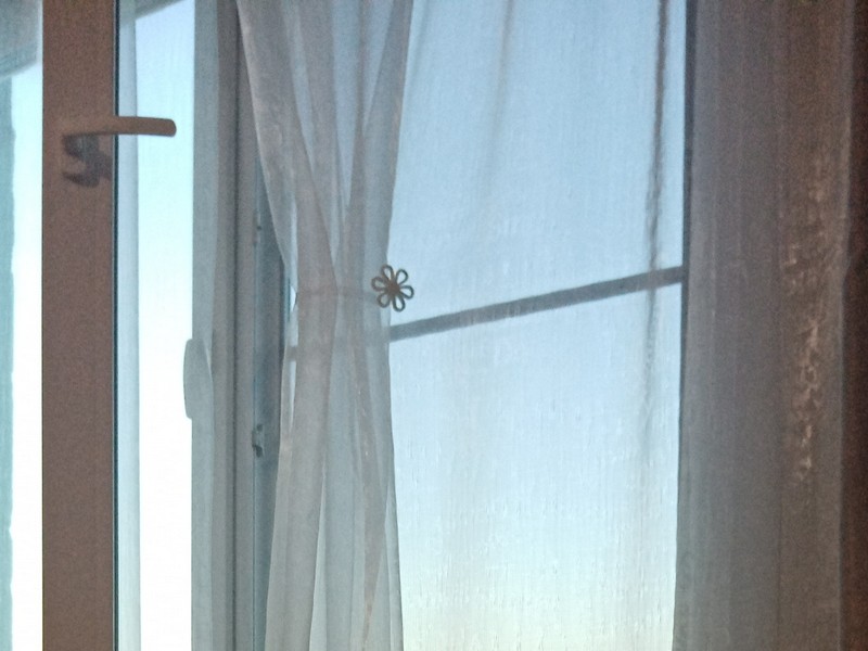 В Белгороде школьник из окна бросал в прохожих орехи