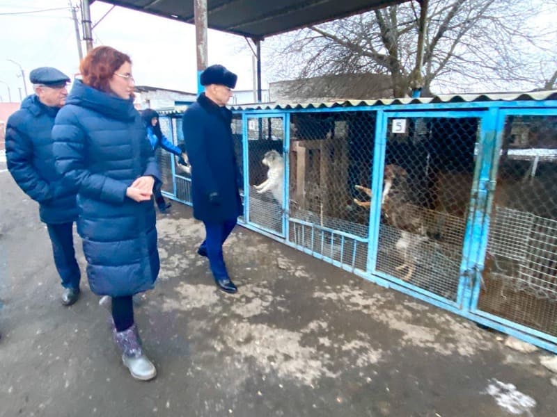 Юрий Галдун посетил пансионат для безнадзорных животных