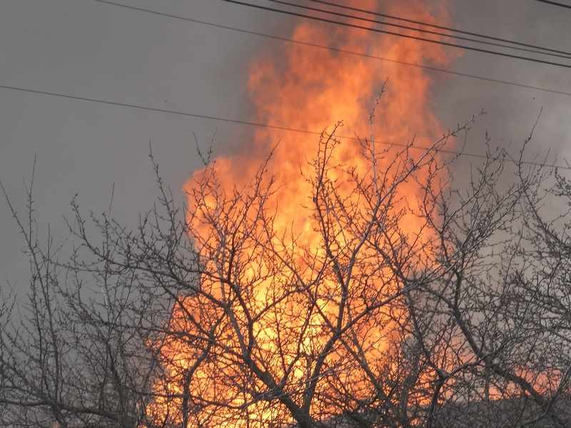 В Белгородской области за неделю произошло 36 пожаров
