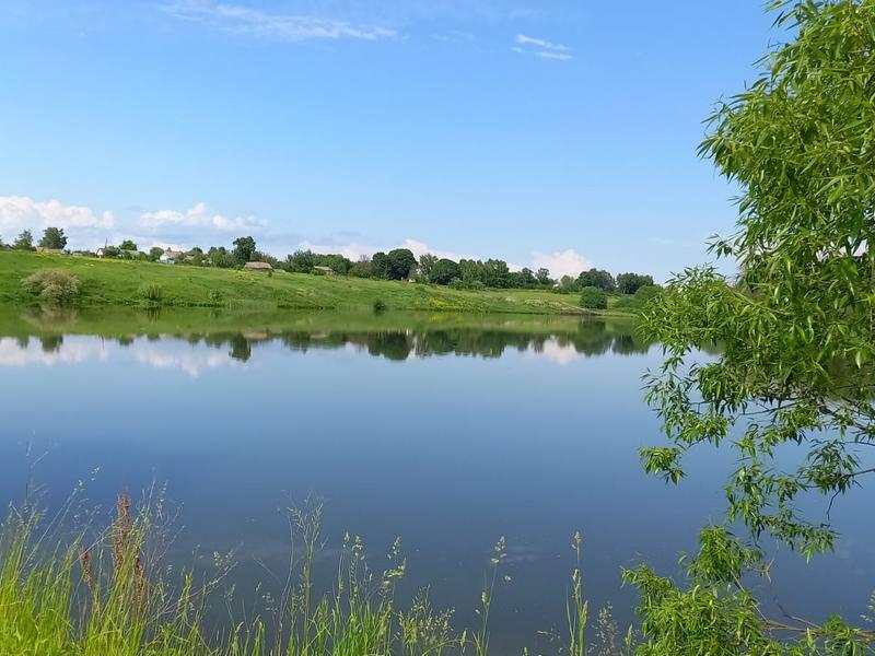 В Белгородской области пересчитали бобров и ондатр