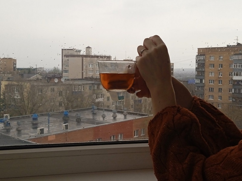 Что белгородцы обсуждают в соцсетях