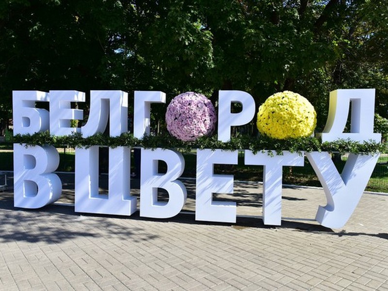 Осенью Белгород украсит море цветов