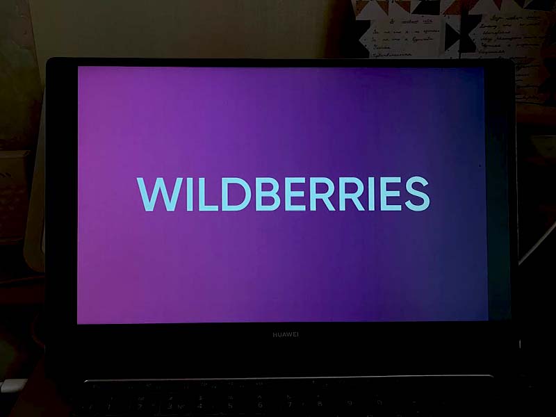 “Wildberries просто пытается переложить часть своих издержек на плечи покупателей”