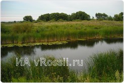 Из-за халатности сахарного завода пострадала флора и фауна реки Елань