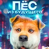 Пёс из будущего - Афиша в Орле
