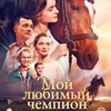 Мой любимый чемпион - Афиша в Орле