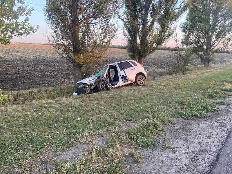 «Лада» влетела в дерево