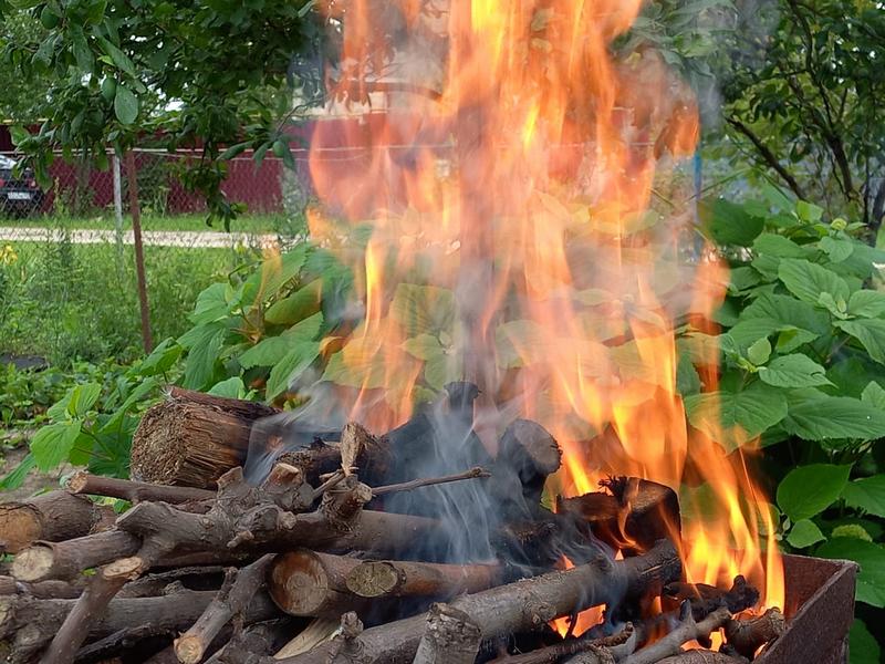 С 22 по 28 сентября на Белгородчине зафиксировано 56 пожаров