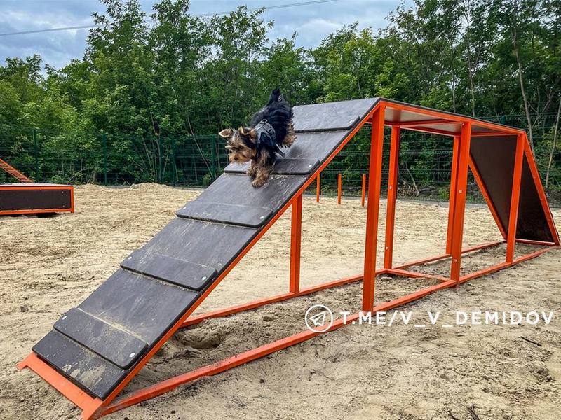 В Белгороде открылись новые площадки для выгула собак