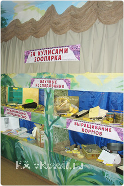 Главная экспозиция выставки