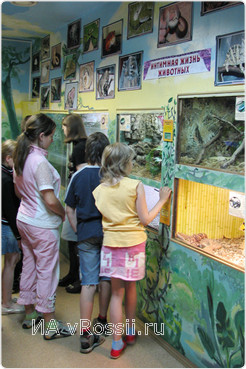 Питомцы экзотариума никогда не были обделены детским вниманием