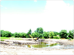 Пруд в селе Ильинка Долгоруковского района