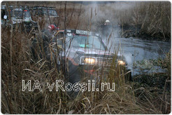 Машины полностью скрывались в камышах.