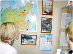 Разглядывает многочисленные фотографии и стеллажи