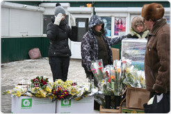 Куряне с удовольствием приобретали как мимозы с тюльпанами, так и цветочные композиции в горшках. 